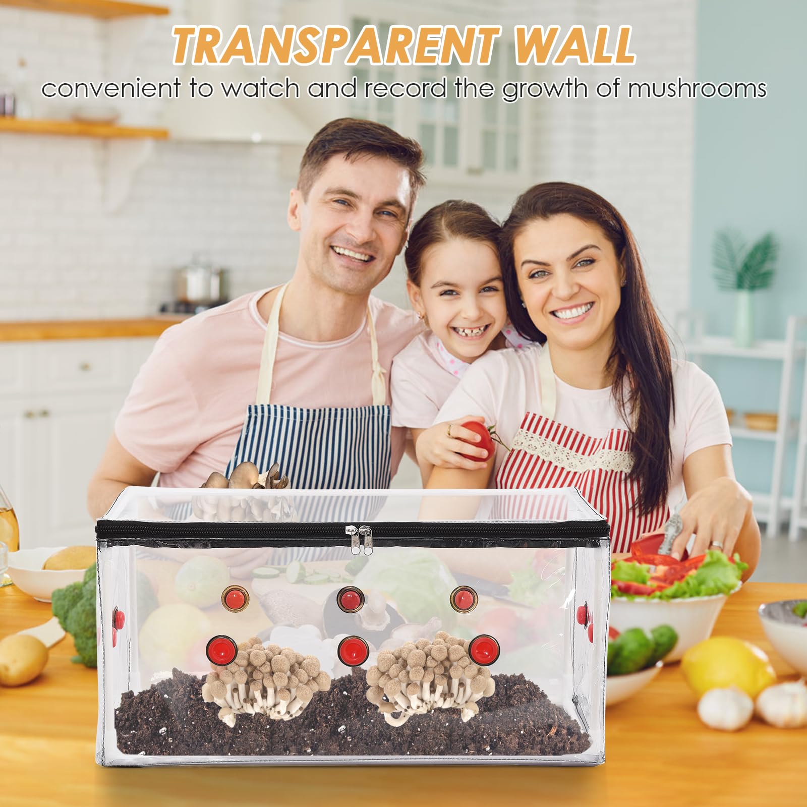 Kit Culture Champignons Still Air Box - 60x60x90 Cm, PVC Transparent, Portable, Pour Débutants