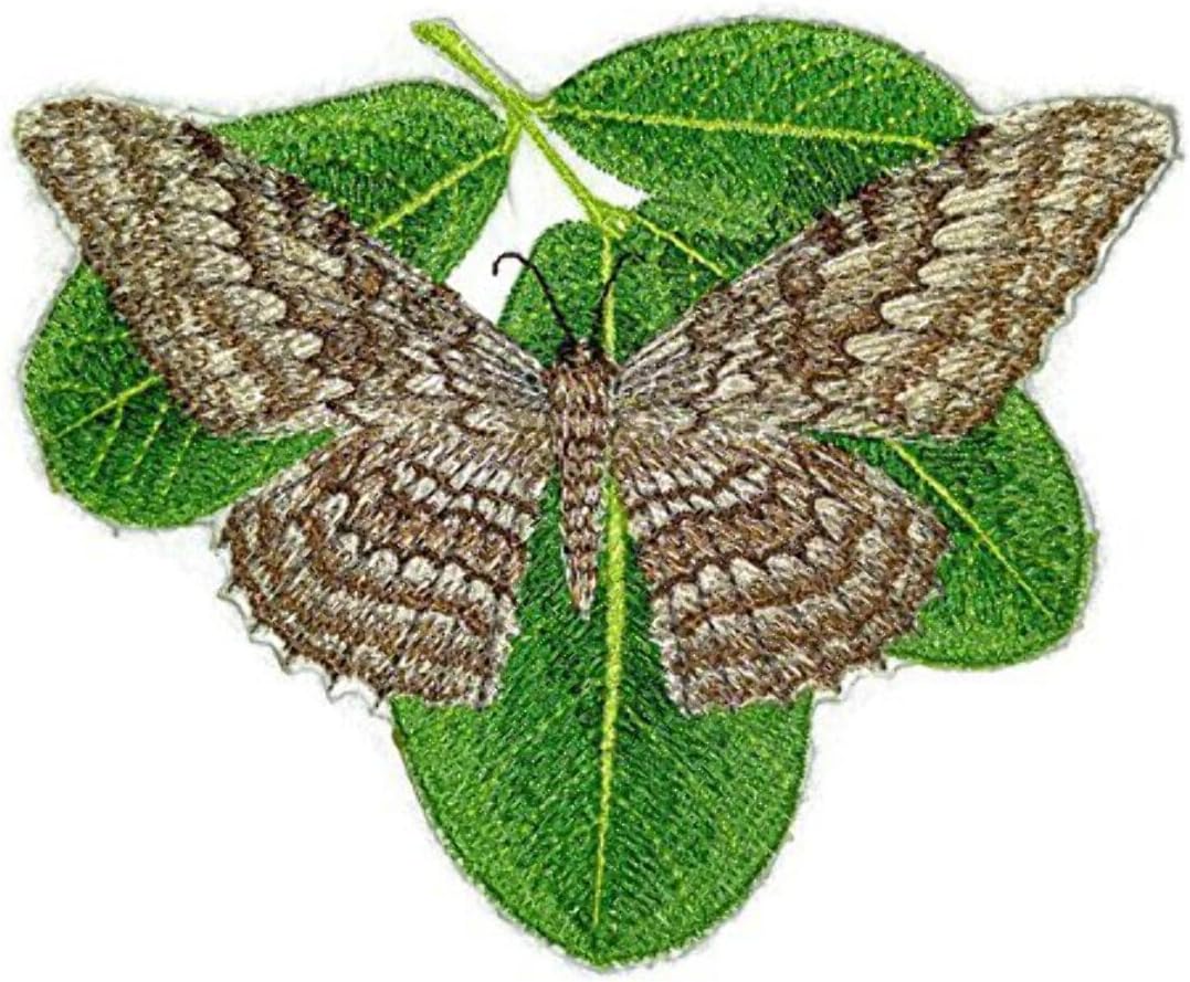 Custom and Unique Amazing Colorful Butterflies[White Witch Moth] Embroidered Iron On/Sew Patch [5" x 5.8"]Made in USA]