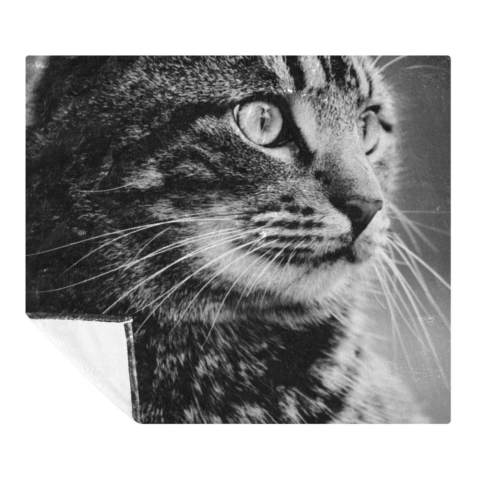 Couverture polaire chat animal gris anti-froid pour sol et canapé de chambre