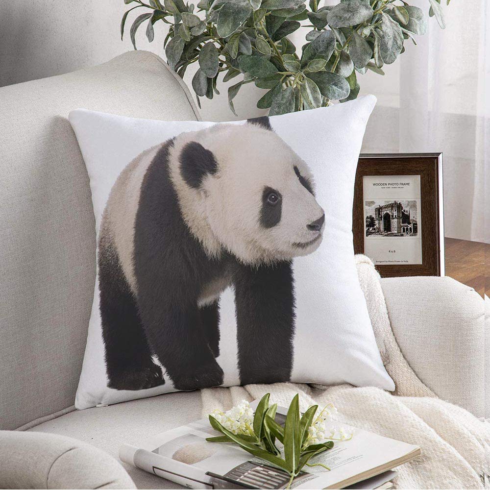 Starosept Throw Pillow Cover Decorative Pillowcase Shot Giant Panda in On 16x16 Inch