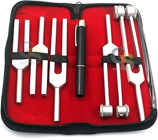G.S New Set of 6 Tuning Fork Set Chiropractic Physical Diagnostic Instruments+ Free Pen Light Best Quality