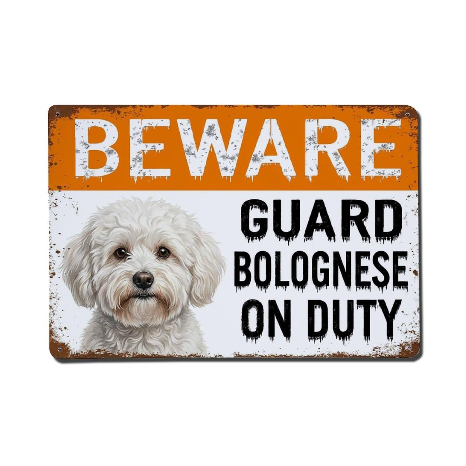 Vintage Funny Bolognese Guard Beware of Dog Driveway Metal Tin Sign Plaque Wall Decor for Cafe, Club Bar, Office, Garden Metal Poster 8x12Inch