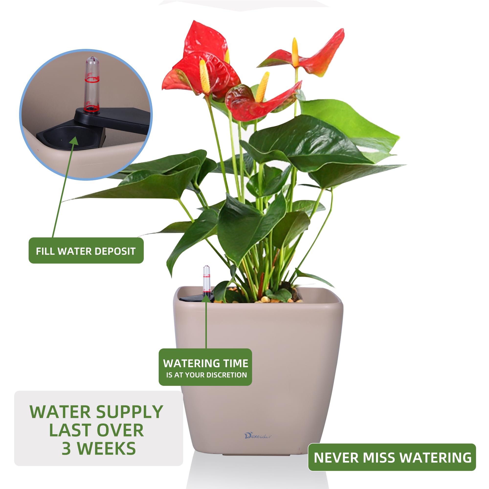 Dexceder Fioriera autoirrigante con ruote, 38 x 35,5 cm, per interni ed esterni, design con tappetino interno, grande vaso da fiori ispessito da pavimento con indicatore del livello dell'acqua