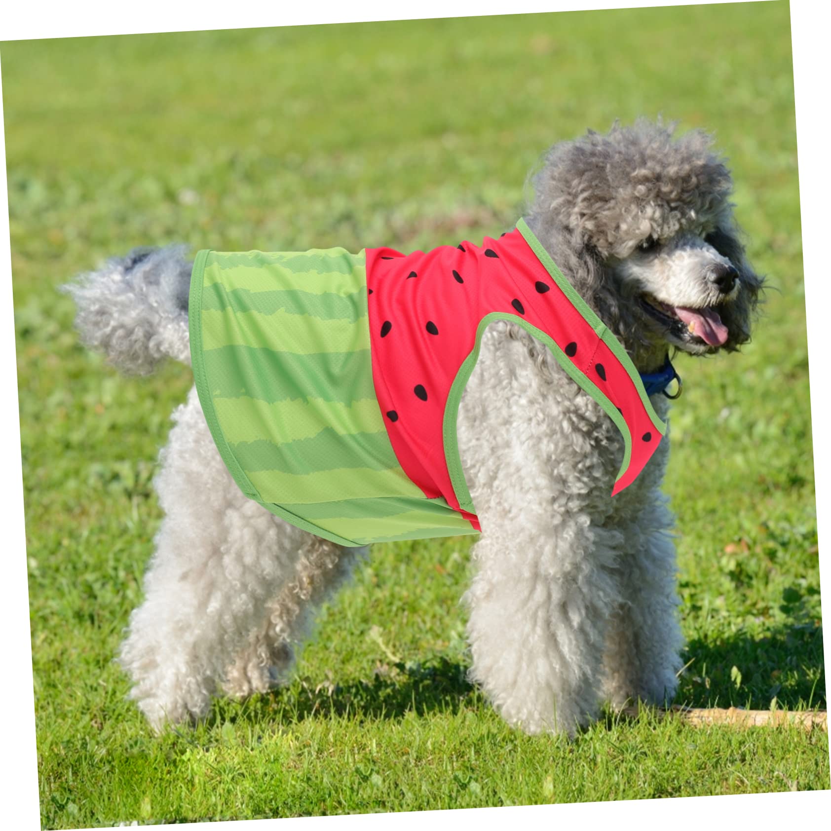 Gilet Rafraîchissant pour Chien, Été, Soie, Taille L, Motif Pastèque