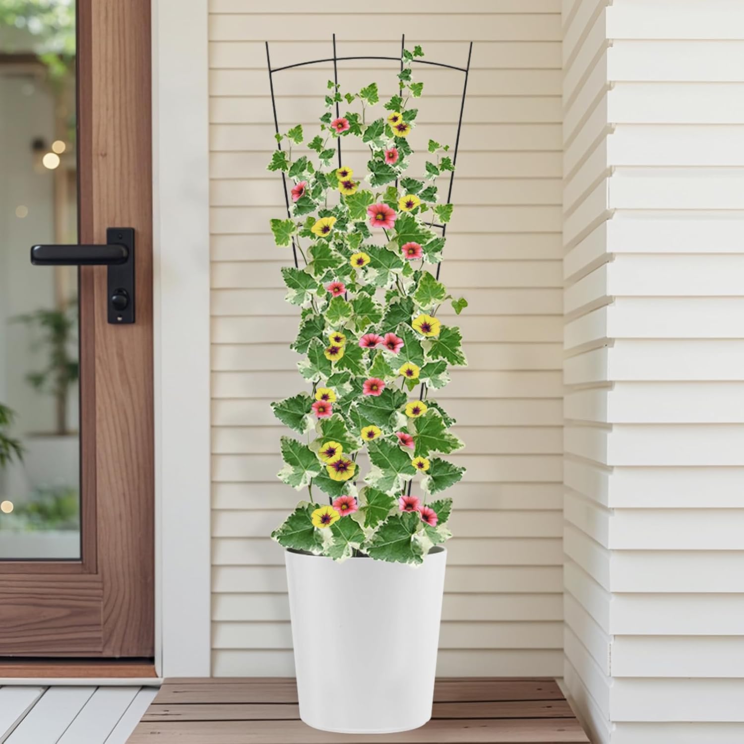 4 Pack 32'' Black Metal Plant Trellis Indoor/Outdoor, Fan Shape, Stainless Steel, Modern Style, Easy Assembly