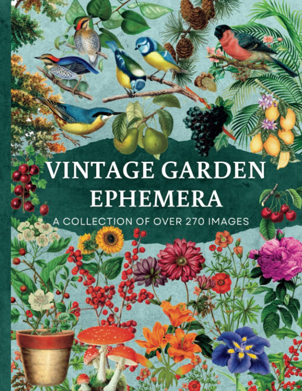 Vintage Garden Ephemera: A Curated Collection of Over 270 Images For Junk Journaling, Mixed Media, Scrapbooking, Arts & Crafts | Cut Out & Collage Book Vintage Garden