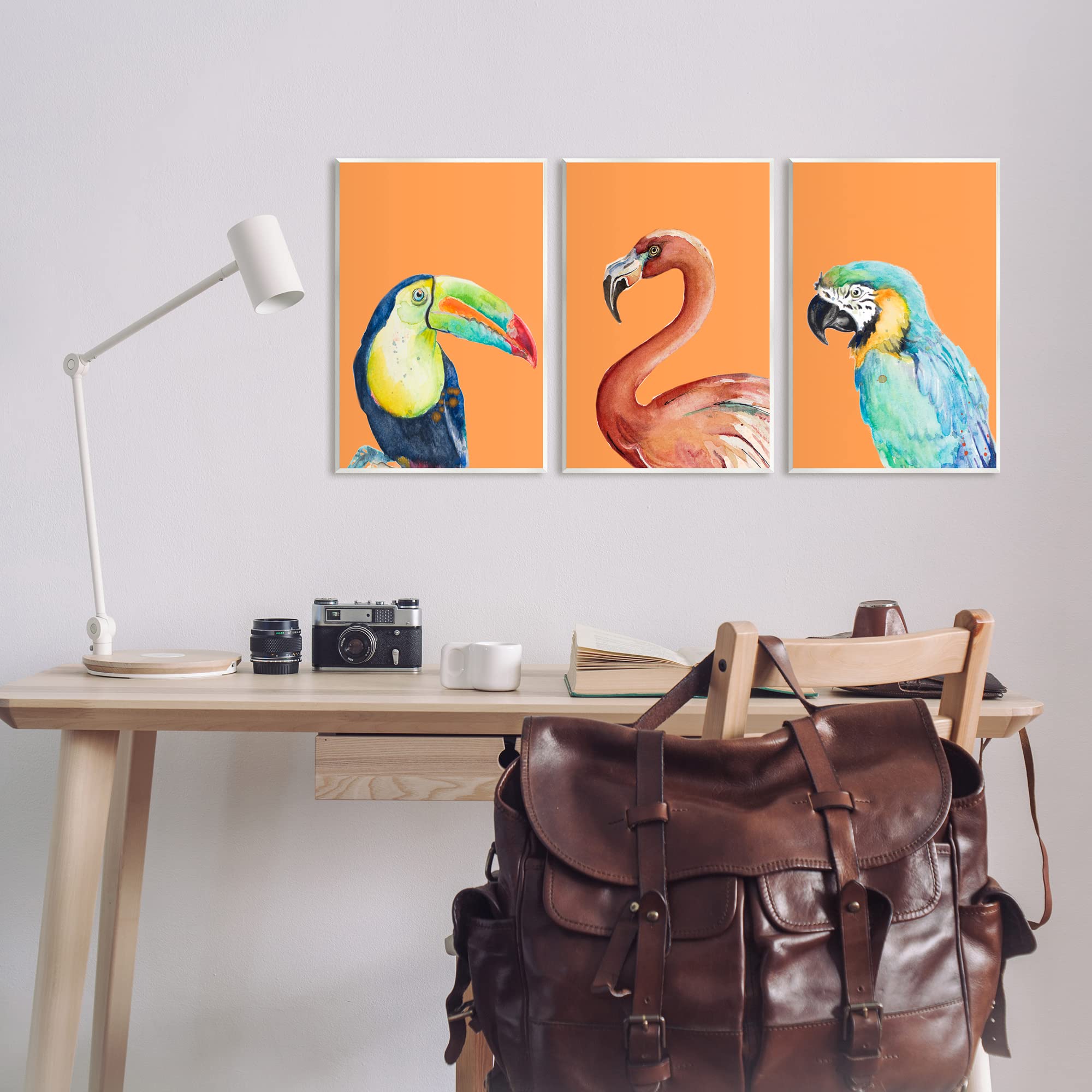 Stupell Industries Bold Tropical Birds Rainforest Animals Toucan Parrot 3pc set Wood Wall Art, Design by Patricia Pinto
