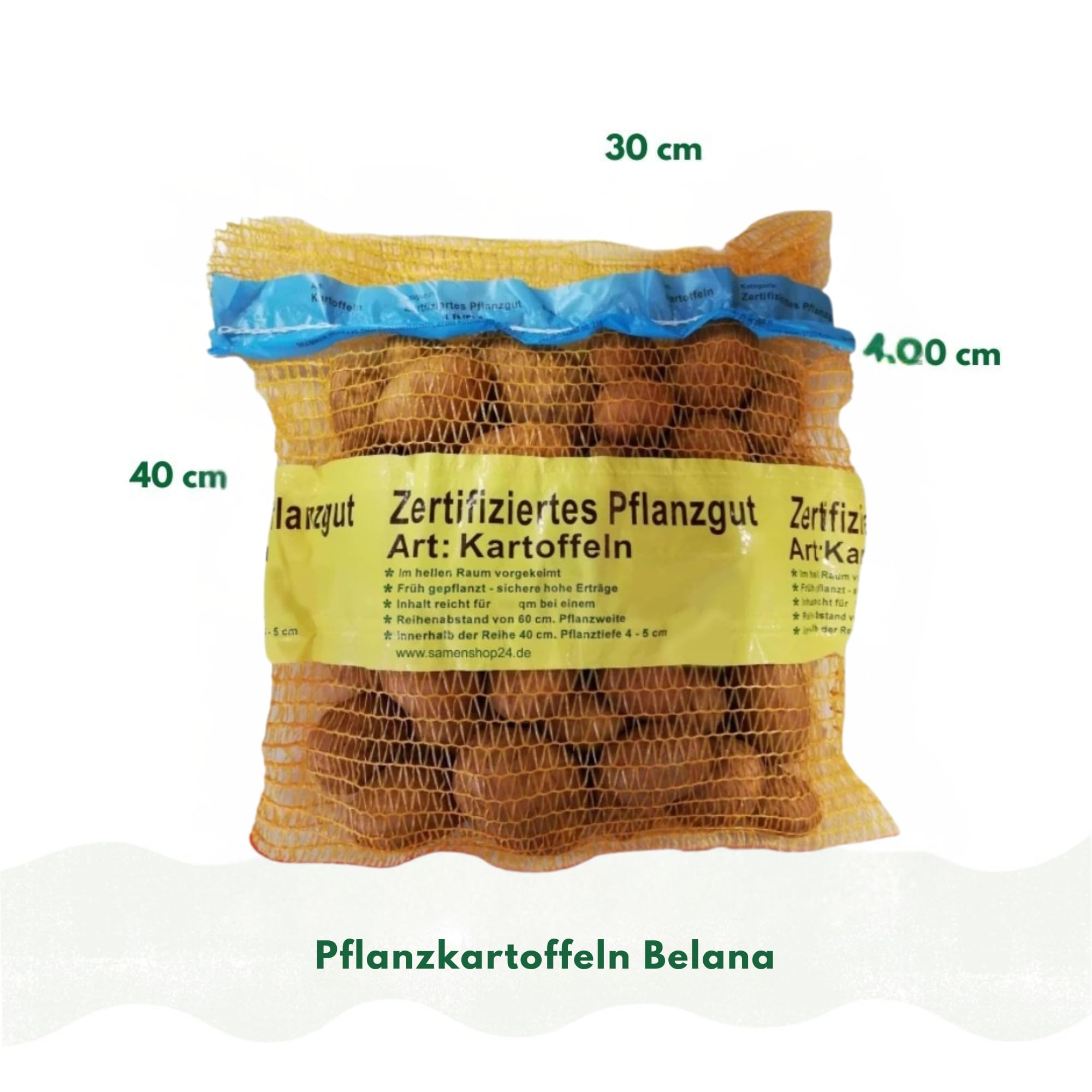 Pflanzkartoffeln Belana, 2,5 kg (ca. 35 Stück) festkochend, Premium Saatkartoffeln, frühreifenden Kartoffelsorte, gelbfleischig lange lagerfähig