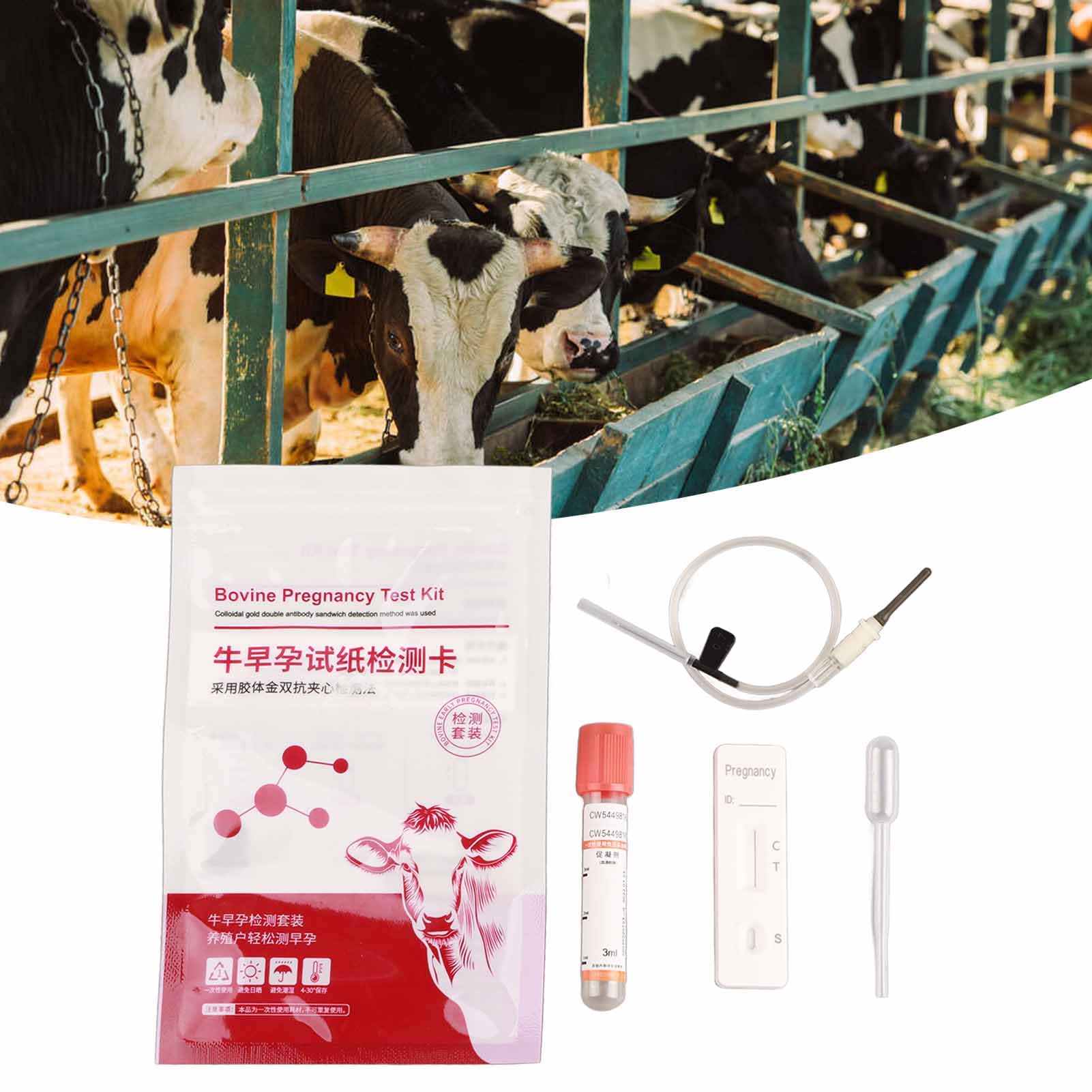Kit de prueba de embarazo para vacas herramientas completas detección temprana alta sensibilidad resultados rápidos y precisos operación sencilla compatible con vacas mayores de 28 días