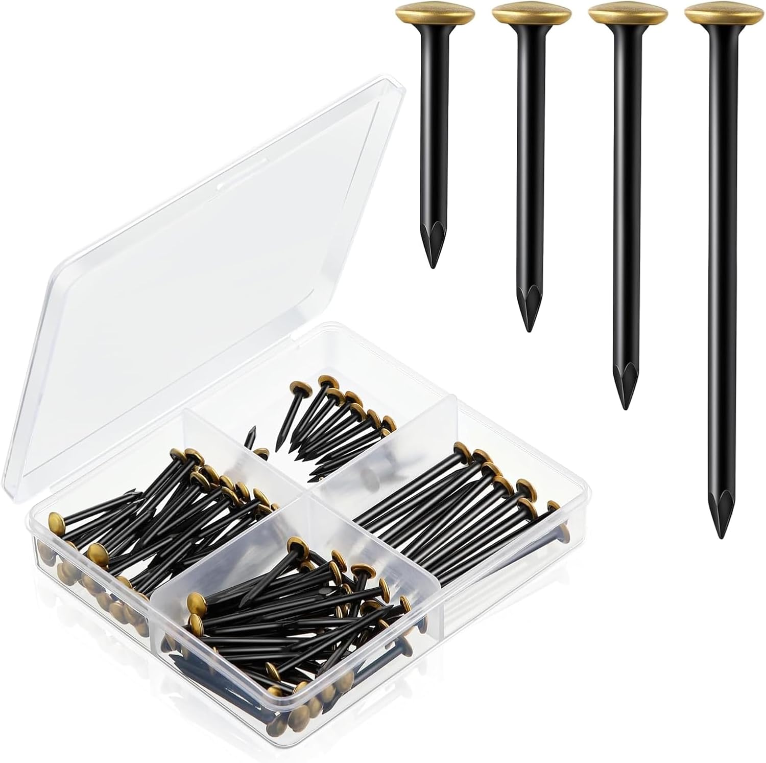 120 x Upholstery Nails (20/25/30/40 mm) Concrete Nails with Gold Head Stainless Steel for Concrete, Brick & Wood without Drilling, Preserves Walls, Storage Box 4 Compartments Included Black