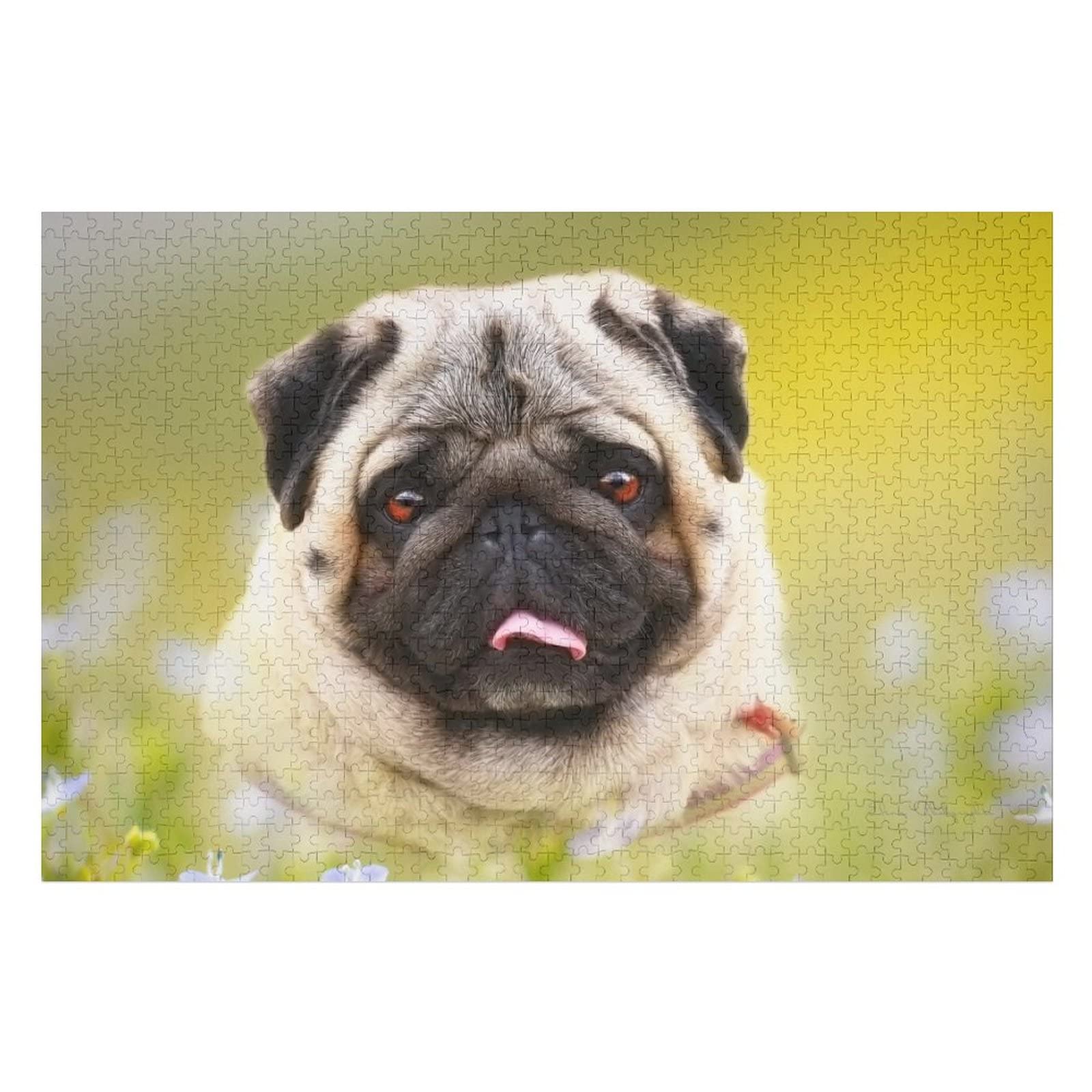 Tierpuzzle für Erwachsene, 2000 Teile, Hundemuster-Puzzles, für Kinder, Puzzle-Geschenke für Erwachsene, Brain Challenge Puzzle, 70 x 100 cm