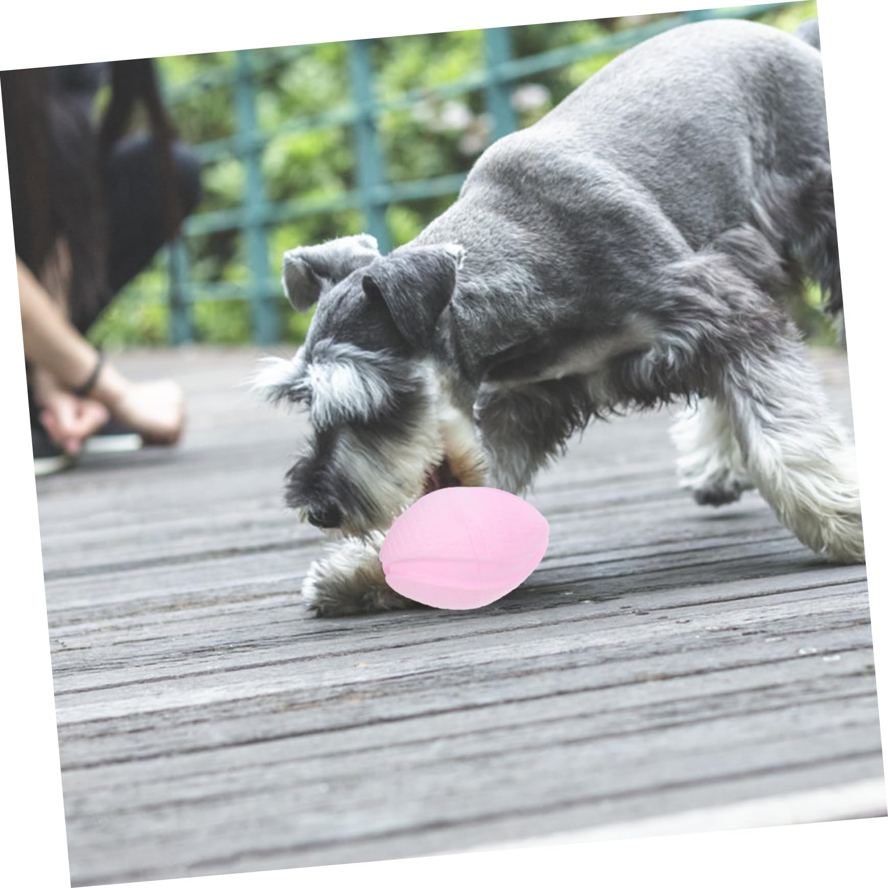 Mipcase 5pièces Jouet à Mâcher pour Chiens Balle De Teething Flottante TPR Jouet De Nettoyage pour Chiots Accessoire Amusant Et Indestructible