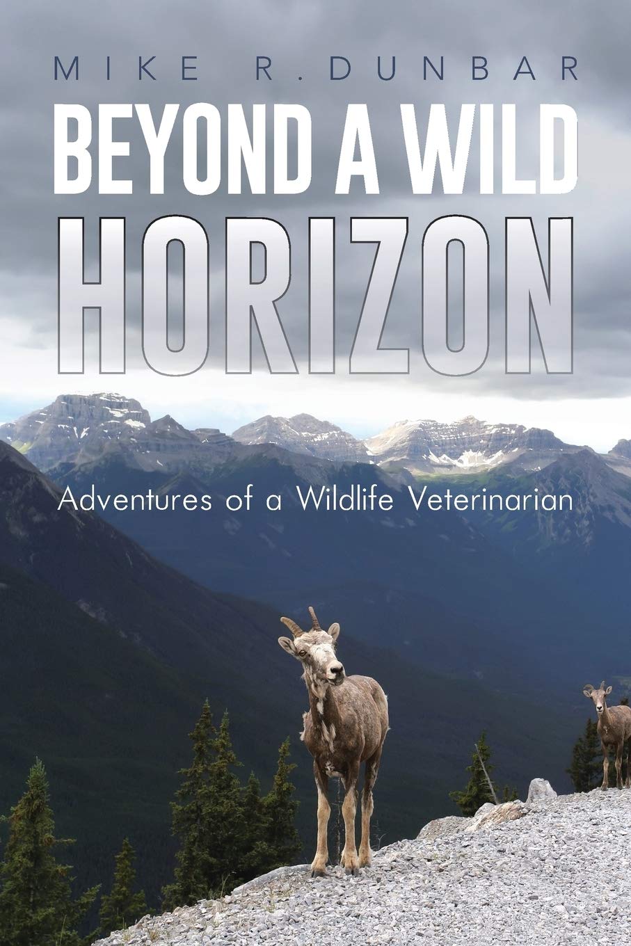 Beyond A Wild Horizon: Adventures of a Wildlife Veterinarian