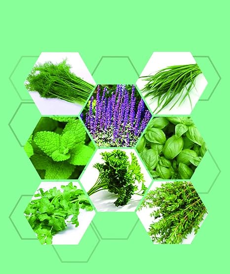 Amazon 800ハーブシードパッケージには ミントを含む8種類が含まれていますシラントラタイム パセリリーキホームガーデンを植えるための家宝の非gmoハーブ種子植えやすいエントリーレベルのハーブキット ハーブ