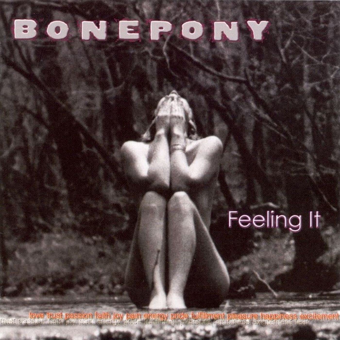 Bonepony
