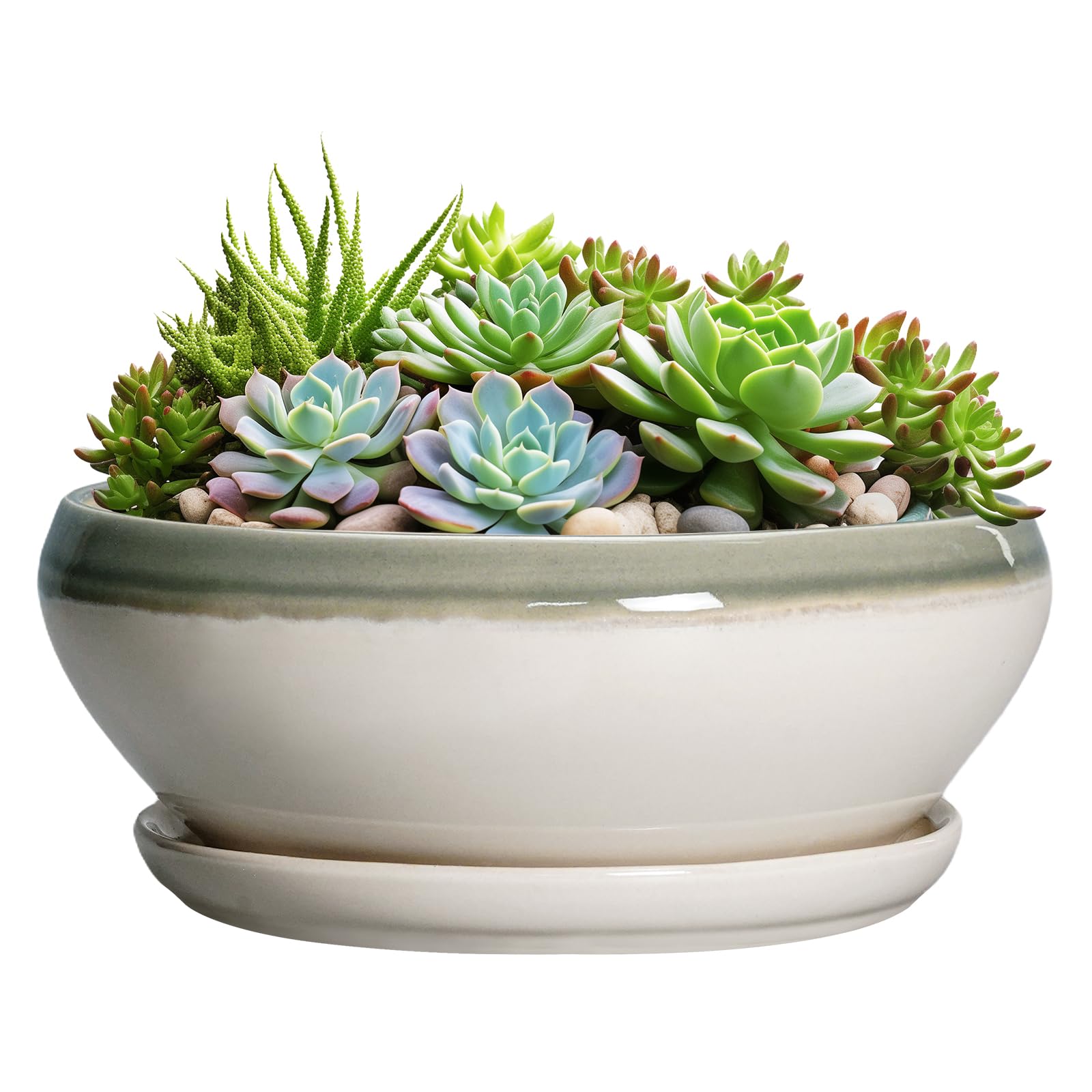 SQOWL Large Succulent Planter