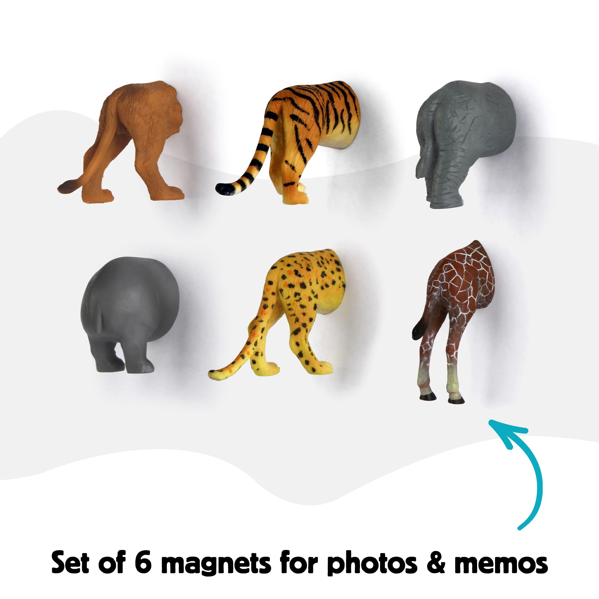 Amazon.com: Kikkerland Safari Butt Magnet Set of Six – Fun Decor
