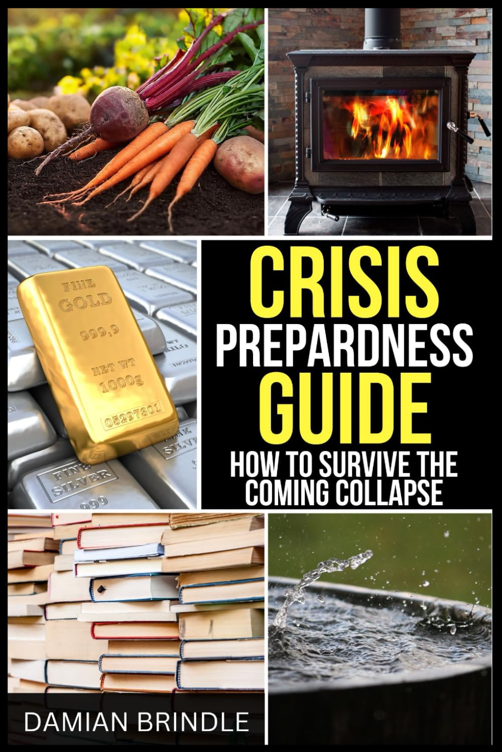 Crisis Preparedness Guide: How to Survive the Coming Collapse (The Survival Collection)