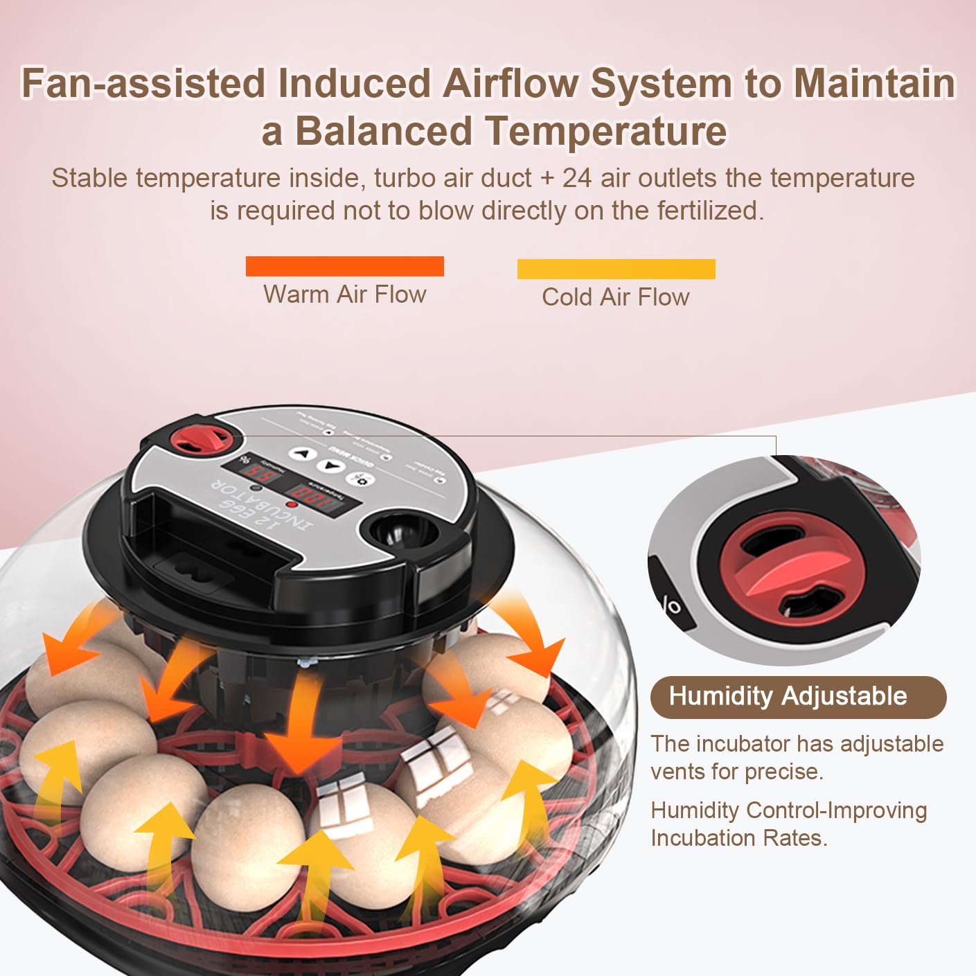 Incubadora Huevos Gallina ncubadora Automática de 12-24 Huevos | con Volteo Automático de Huevos y Humidificación Automática,Control de Temperatura,Incubadora para Huevos de Gallina,Codorniz