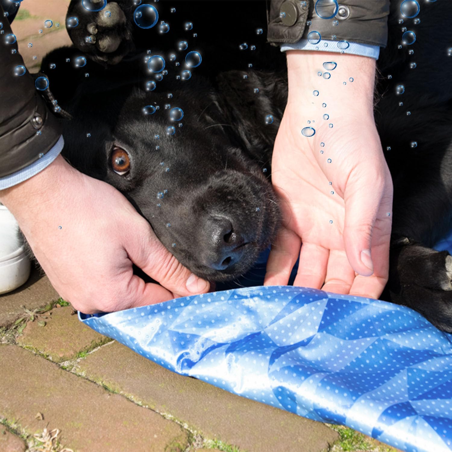 Kühlmatte Für Hunde & Katzen XL - Rutschfest, Waschbar, Für Innen & Außen