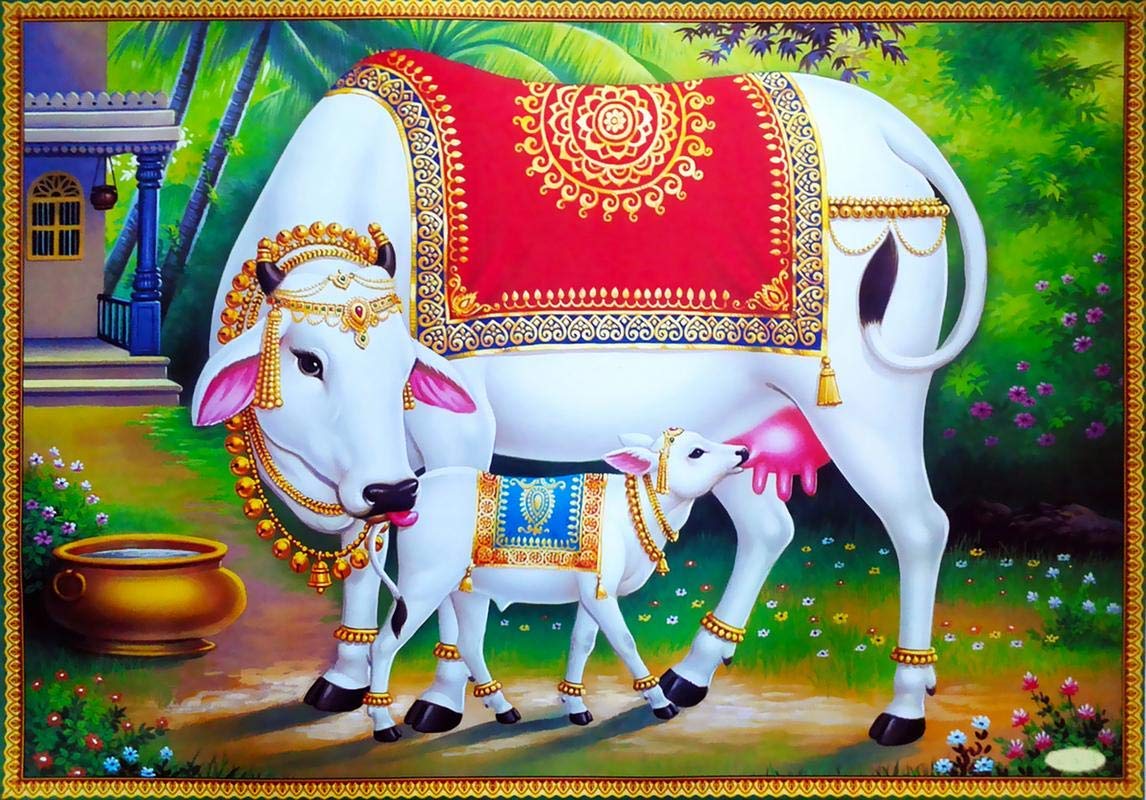 பணக்கஷ்டத்தை தீர்த்து.. செல்வ செழிப்பை தரும் காமதேனு..! 2 Buy wallpics Hindu Religious Kamdhenu Cow Waterproof Vinyl Sticker Poster for Home Decor, Office, Hall, Living Room, Bedroom, Kids Room (12X18) Online at Low Prices in India - Amazon.in