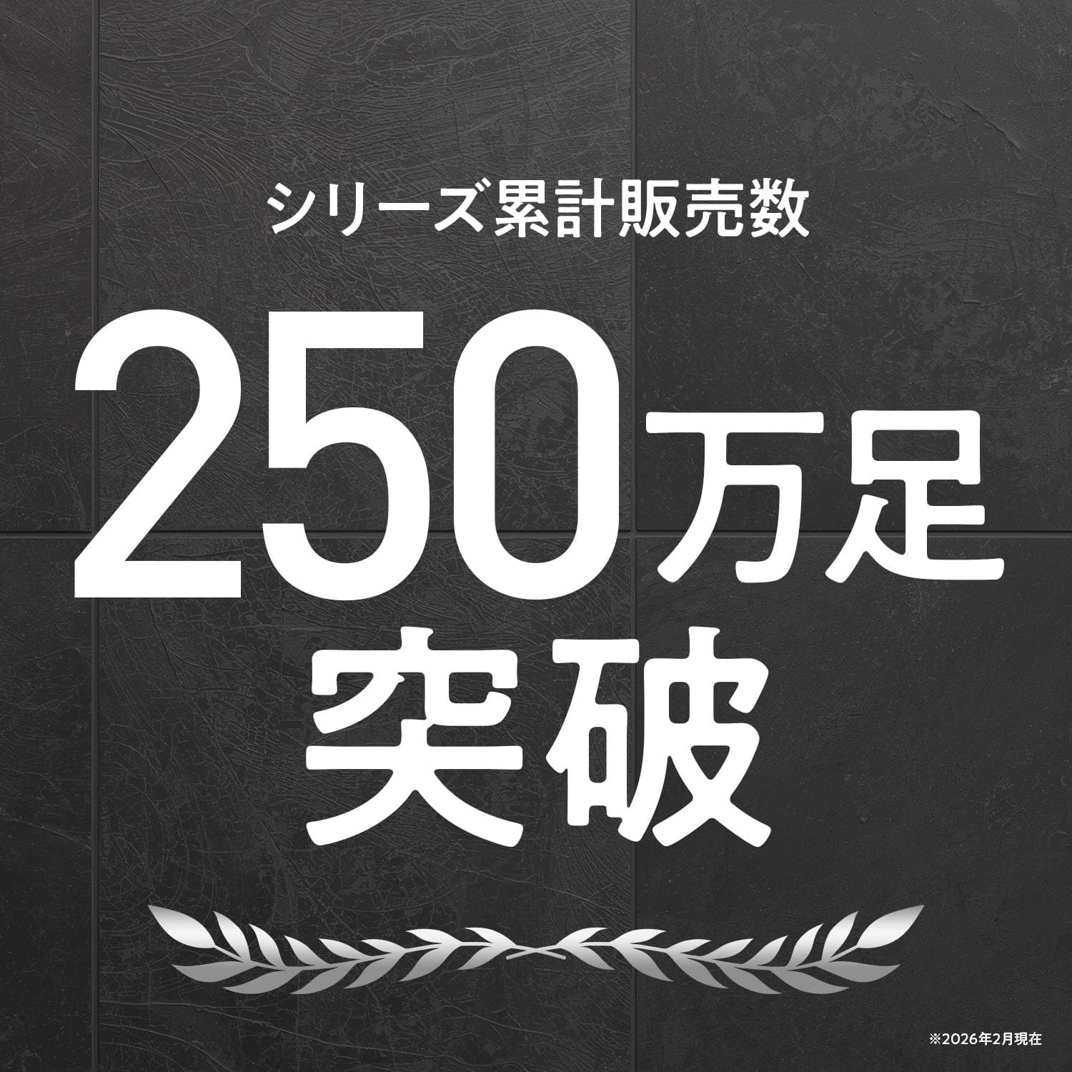 Amazon | [正規品保証]ピットソール 中敷き 姿勢サポート 姿勢