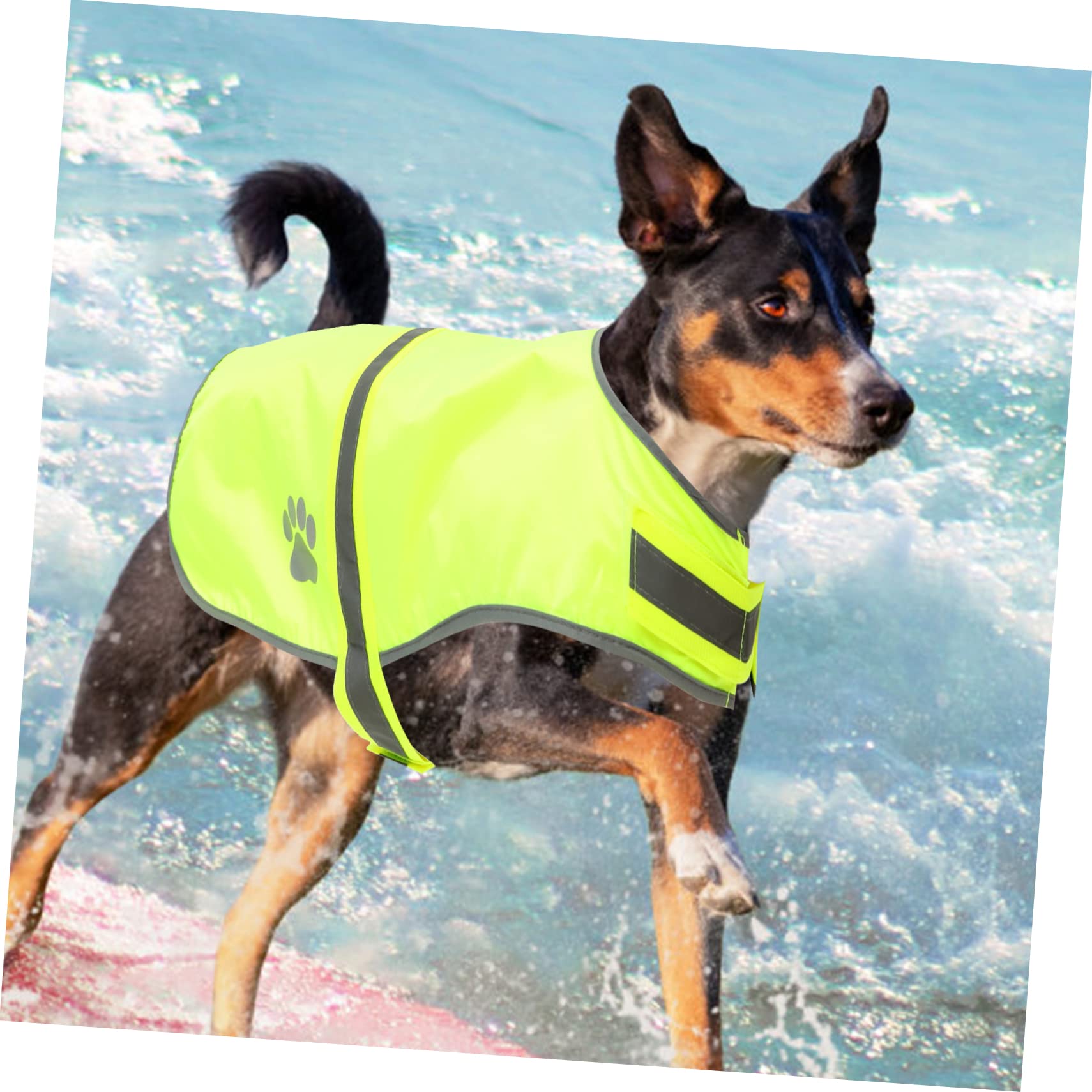 Sosoport 3stücke Reflective Pet Vest Für Hunde Verstellbar Fluoreszierendes Design Für Outdoor-aktivitäten Für Wanderungen Partys Und Fotoshootings