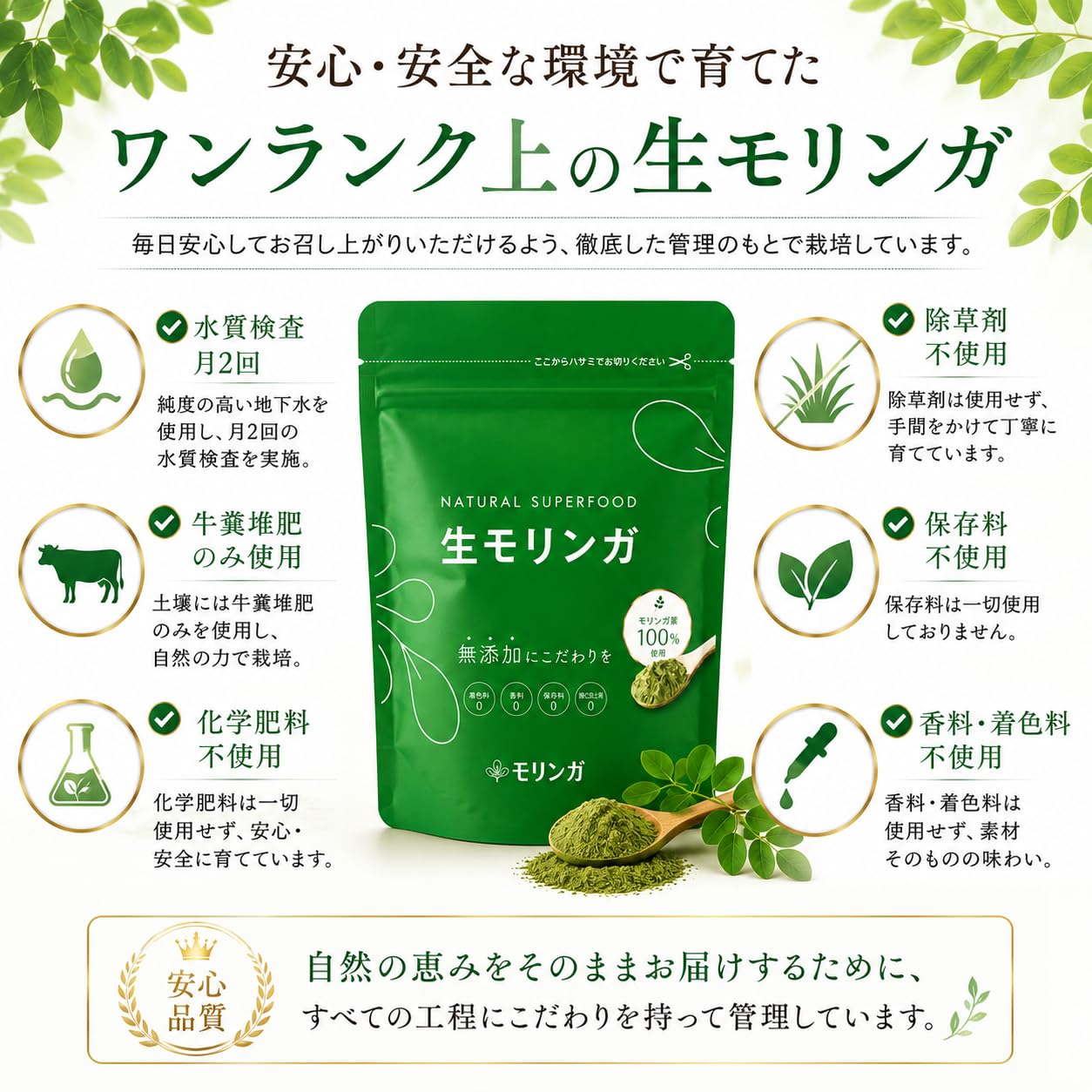 Amazon | 株式会社モリンガ 生モリンガ 粉末 パウダー 無添加 無農薬