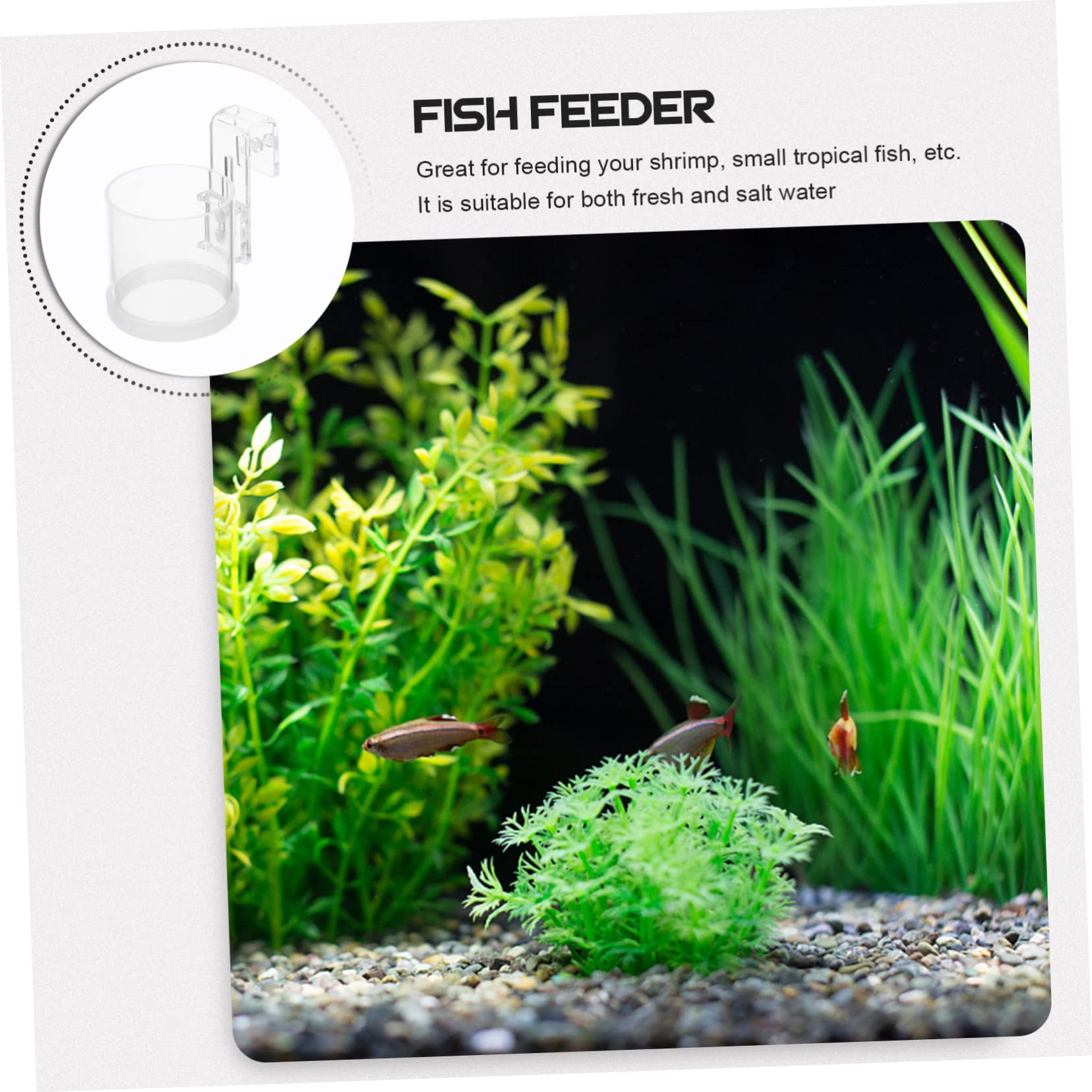 Kisangel 4piezas Alimentador De Peces Acuario Acrílico Anillo De Alimentación Flotante para Comida Escamas para Peces De Agua Dulce Decoración Práctica y Funcional para Tu Acuario