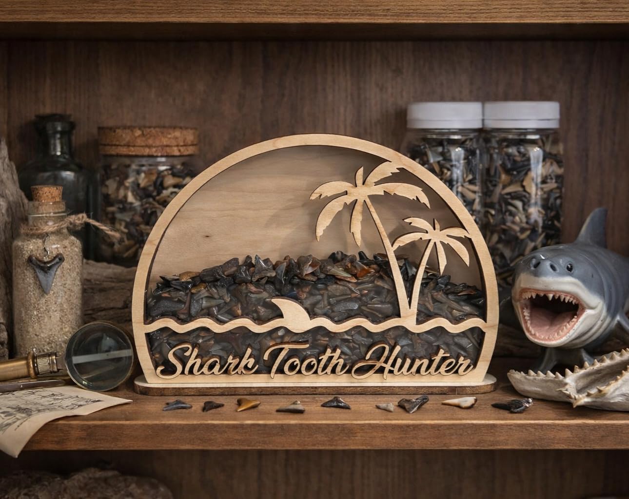 Shark Tooth Hunter Shadow Box Made in USA for Your Shark Tooth Collection!