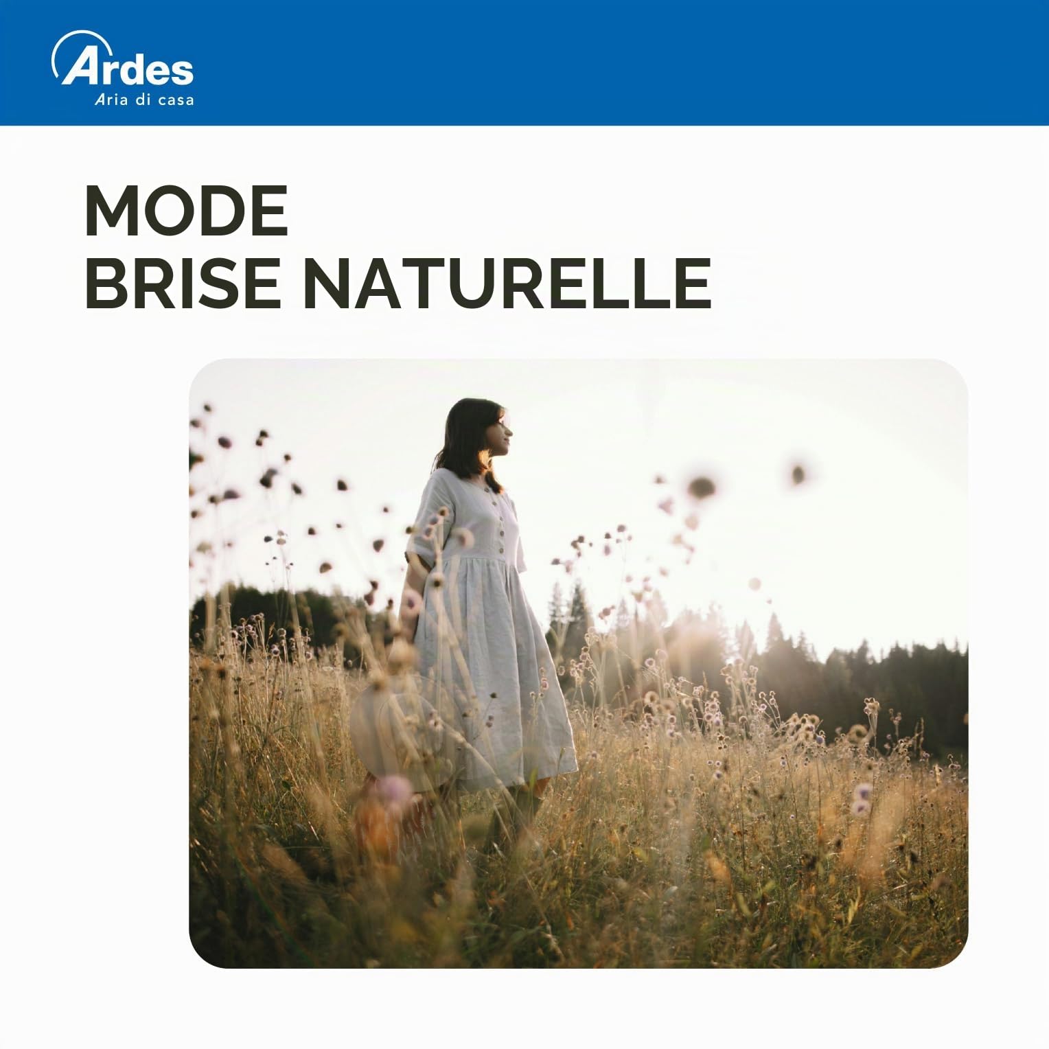 Ardes AR5AMR08 Penny Rafraîchisseur d'ambiance avec roues numériques, minuteur et télécommande, capacité du réservoir 4 L, noir