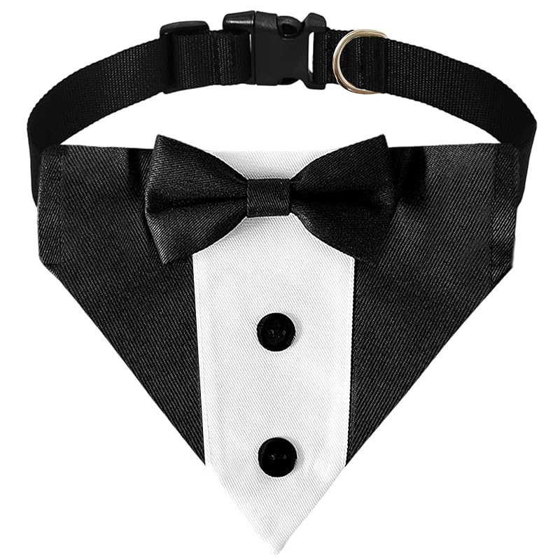 Bandana para Cachorros com Gravata-Borboleta, Coleira Ajustável de Poliéster GIFTMISSU, Small
