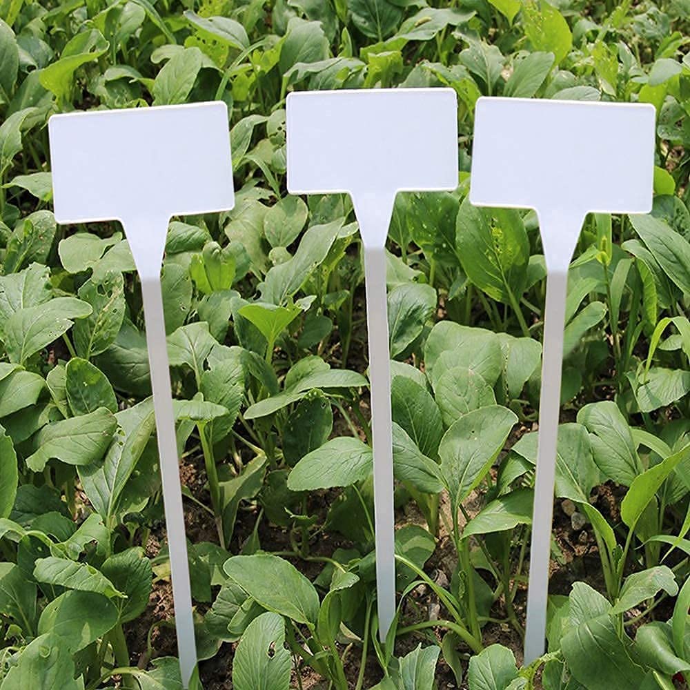 KINGLAKE GARDEN Plastikowe etykiety do roślin na zewnątrz, 30 sztuk, wodoodporne, trwałe markery ogrodowe do przedszkola, markery do roślin, ziół, kwiatów, warzyw, na zewnątrz i do pomieszczeń