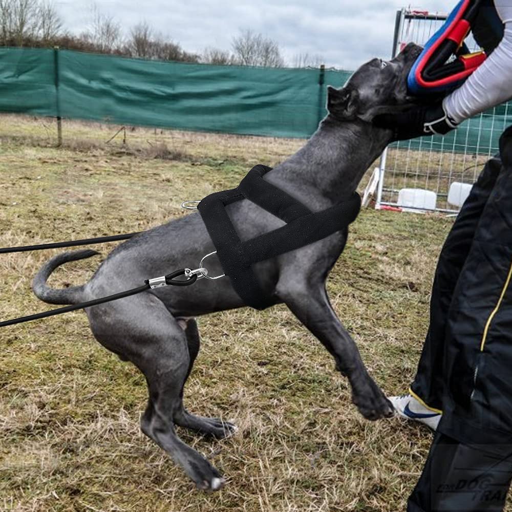 Forestpaw Robustes Hundegeschirr mit Training, taktisches Hundegeschirr mit 3 Mentalringen, weich gepolsterte Weste für mittelgroße und große Hunde, schwarz, Größe M