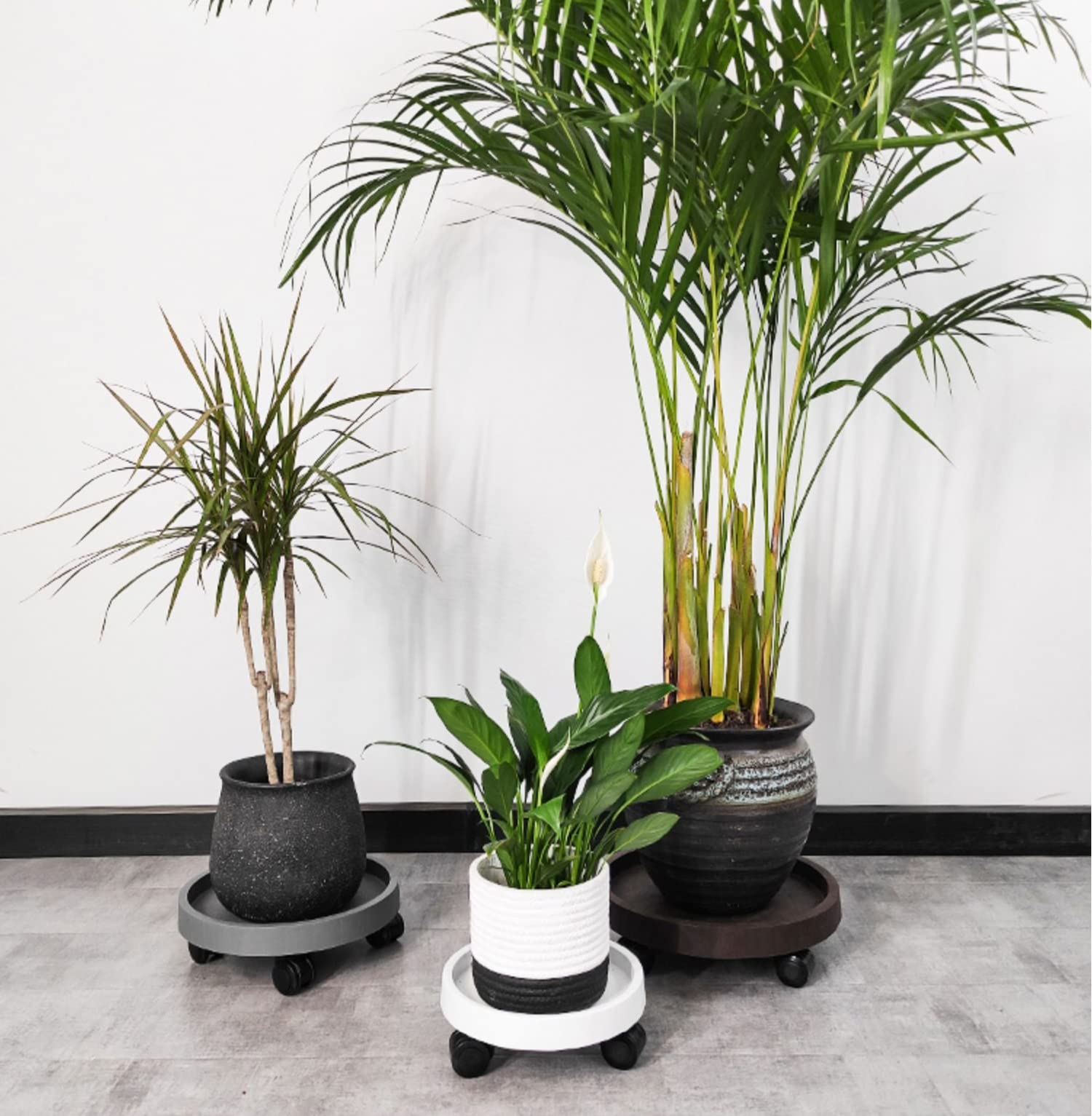 Chariot à roulettes Plantes, Caddy de Plante avec Casiers, Soucoupe Plante Ronde en Plastique, Transporteur de Pots avec Roues, Chariot pour Pots de Plantes Exterieur Intérieur,Marron,45cm