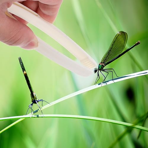 Miniatura 8 de Toyvian 20 pinzas de plástico para niños pequeños, pinzas sensoriales para niños, experimentos, pinzas de juguete, pinzas de plástico