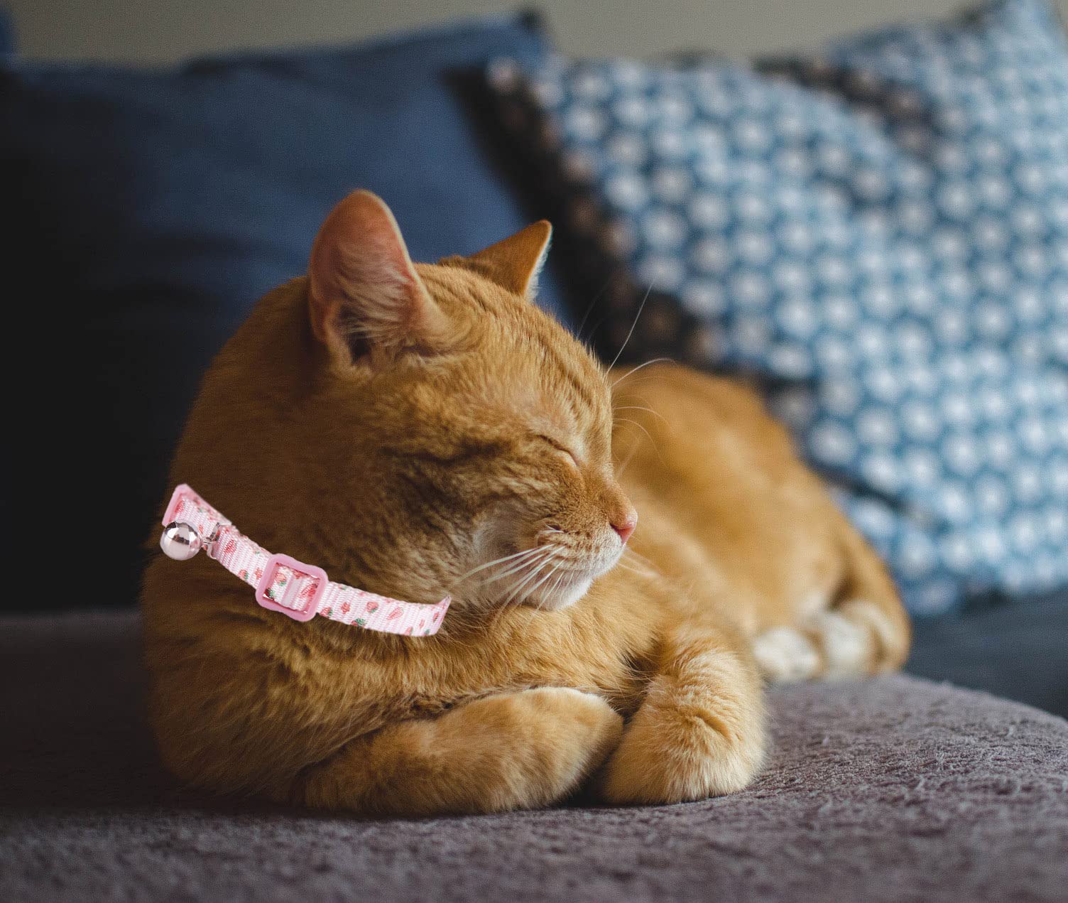 Paquete de 2 collares para gatos con campana, ajustable, floral, lindo collar de gato para gatos hembras
