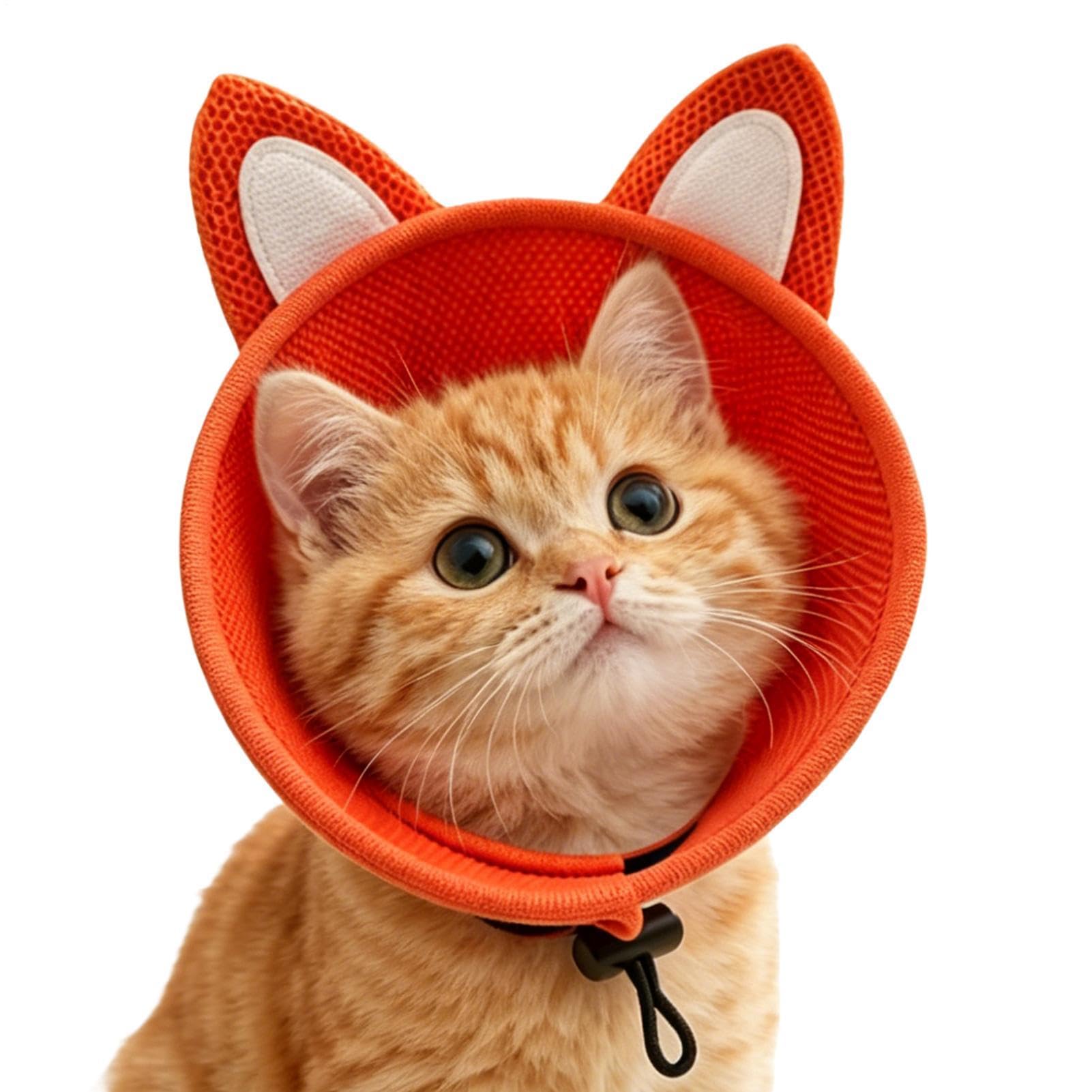 Collar de cono para gato para aseo interior seguro y veterinario
