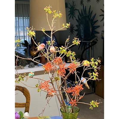 ubuy UK