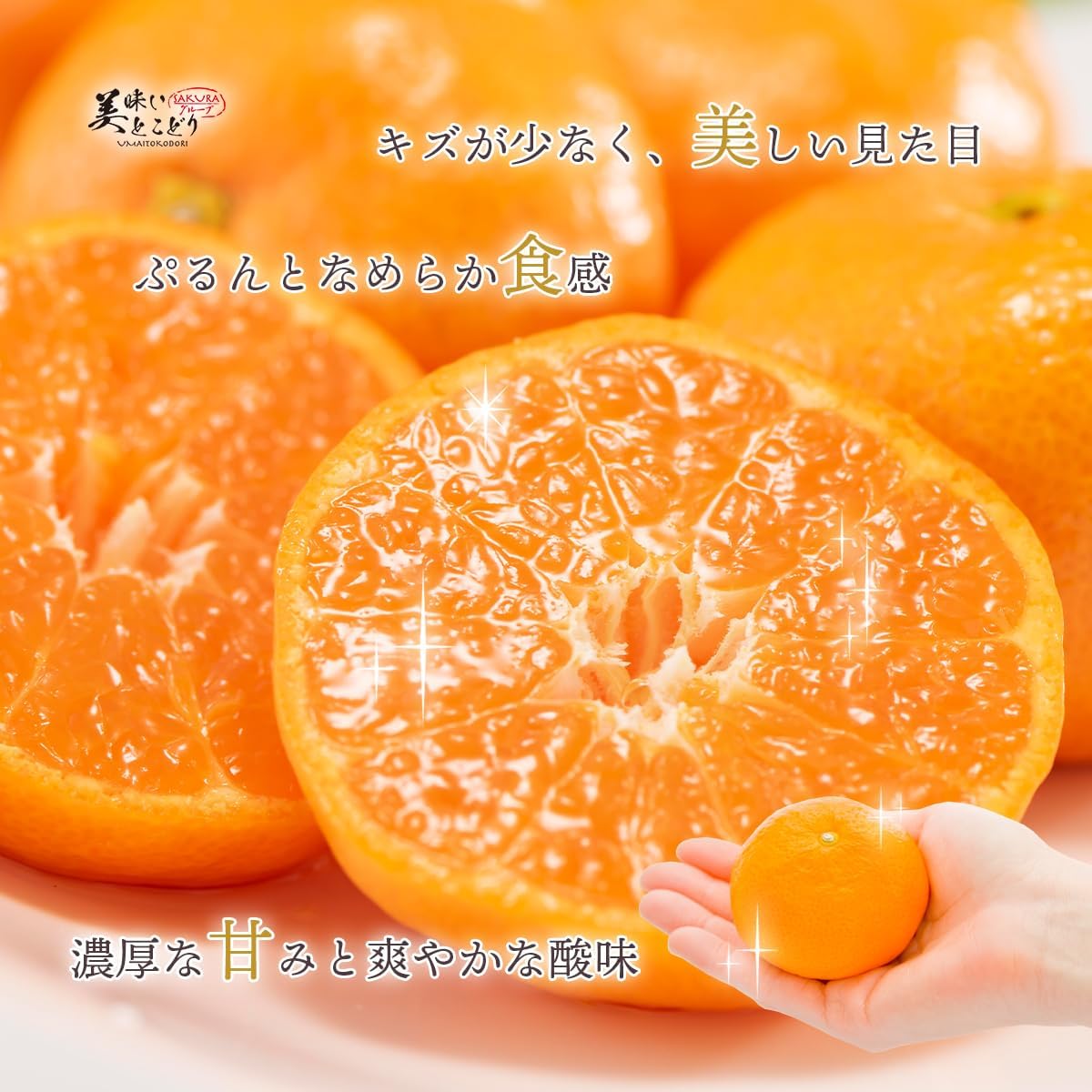 美味いとこどり 和歌山県産 ハウスみかん (Mサイズ12玉) 赤秀みかん 完熟 甘い 選別済 ※お歳暮 のし対応可能