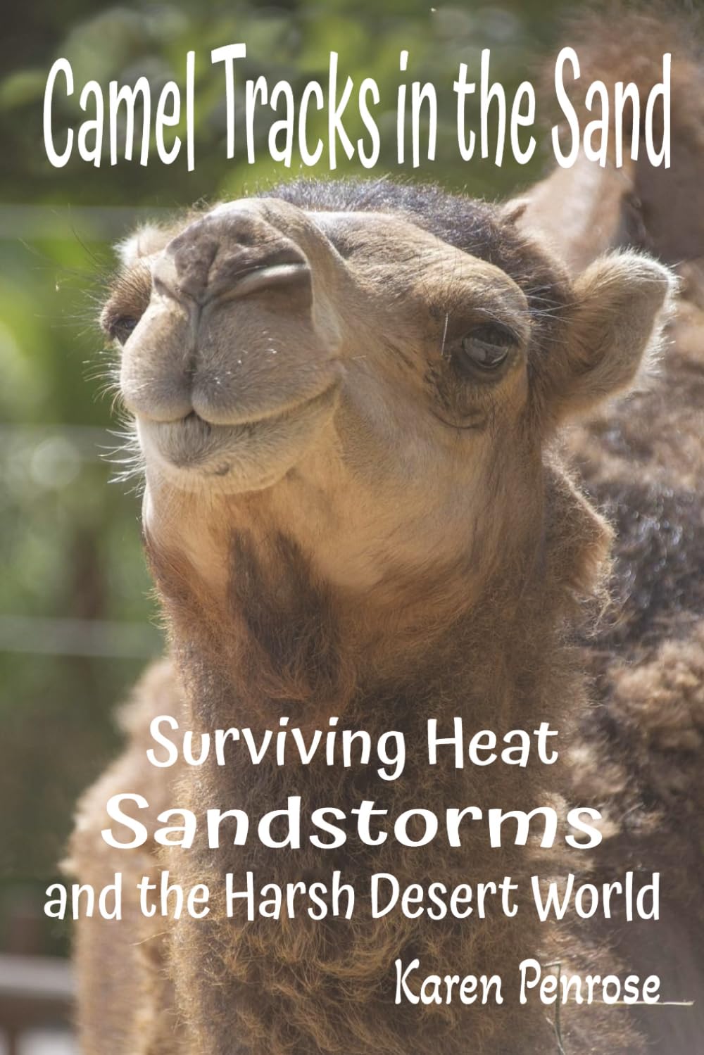 Camel Tracks in the Sand: Surviving Heat, Sandstorms, and the Harsh Desert World: Facts for Kids/Bactrian/Dromedary/Desert ... Science/STEM Activities/Citizen Science