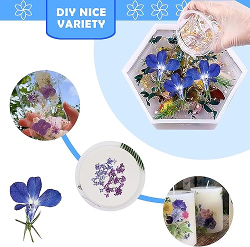 Miniatura 5 de Flores secas prensadas azules para adornos de manualidades de resina, 60 flores secas prensadas naturales para joyería de resina, decoración de caja