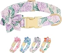 Vista 19 de Beirui Lindos collares para perras con patrones florales vibrantes, collar de perro hembra con flor para caminar, collar ajustable y duradero