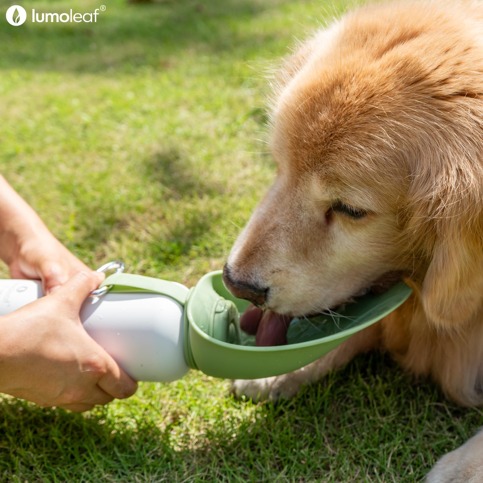 LumoLeaf Borraccia termica per cani, in acciaio inox, 765,4 g, mantiene l'acqua fresca o calda, ciotola portatile per animali domestici, per viaggi, bocca larga per un facile riempimento e pulizia del
