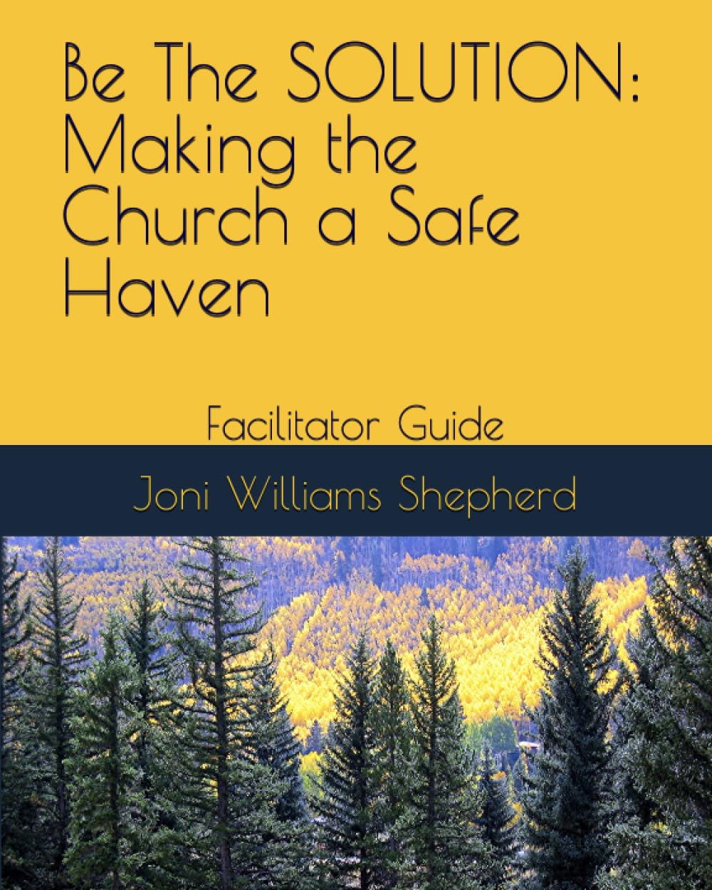Be The Solution: Making the Church a Safe Haven: Facilitator Guide