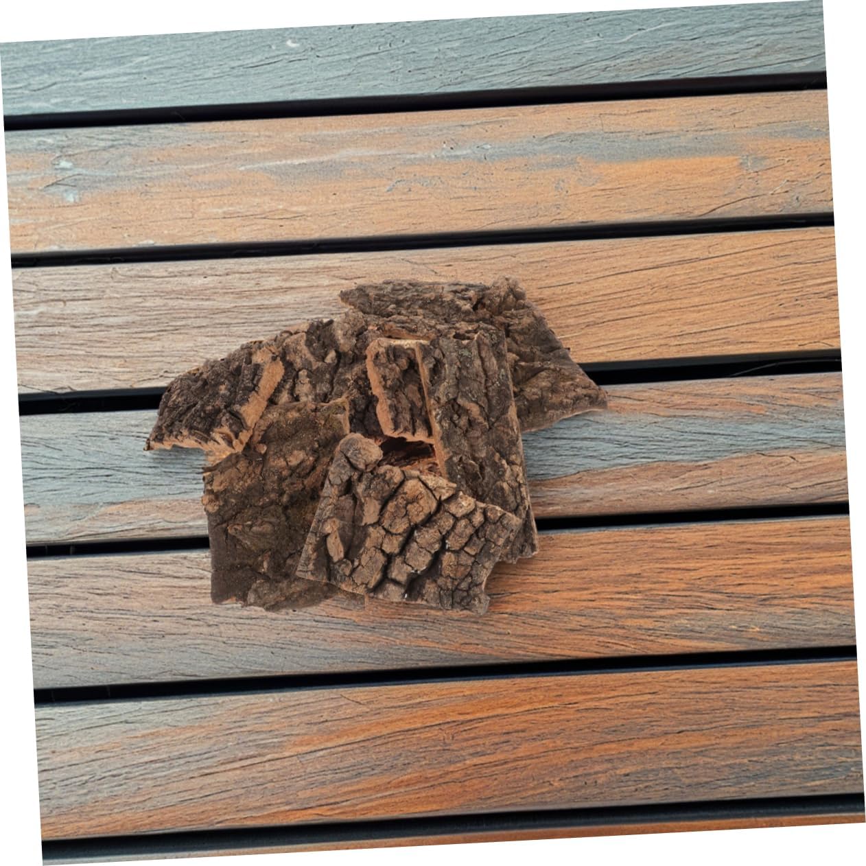 12pcs Natural Bark Decor for Reptile Terrarium Versatile Climbing Platform and Background for Lizards Material Easy to Install Approx Each