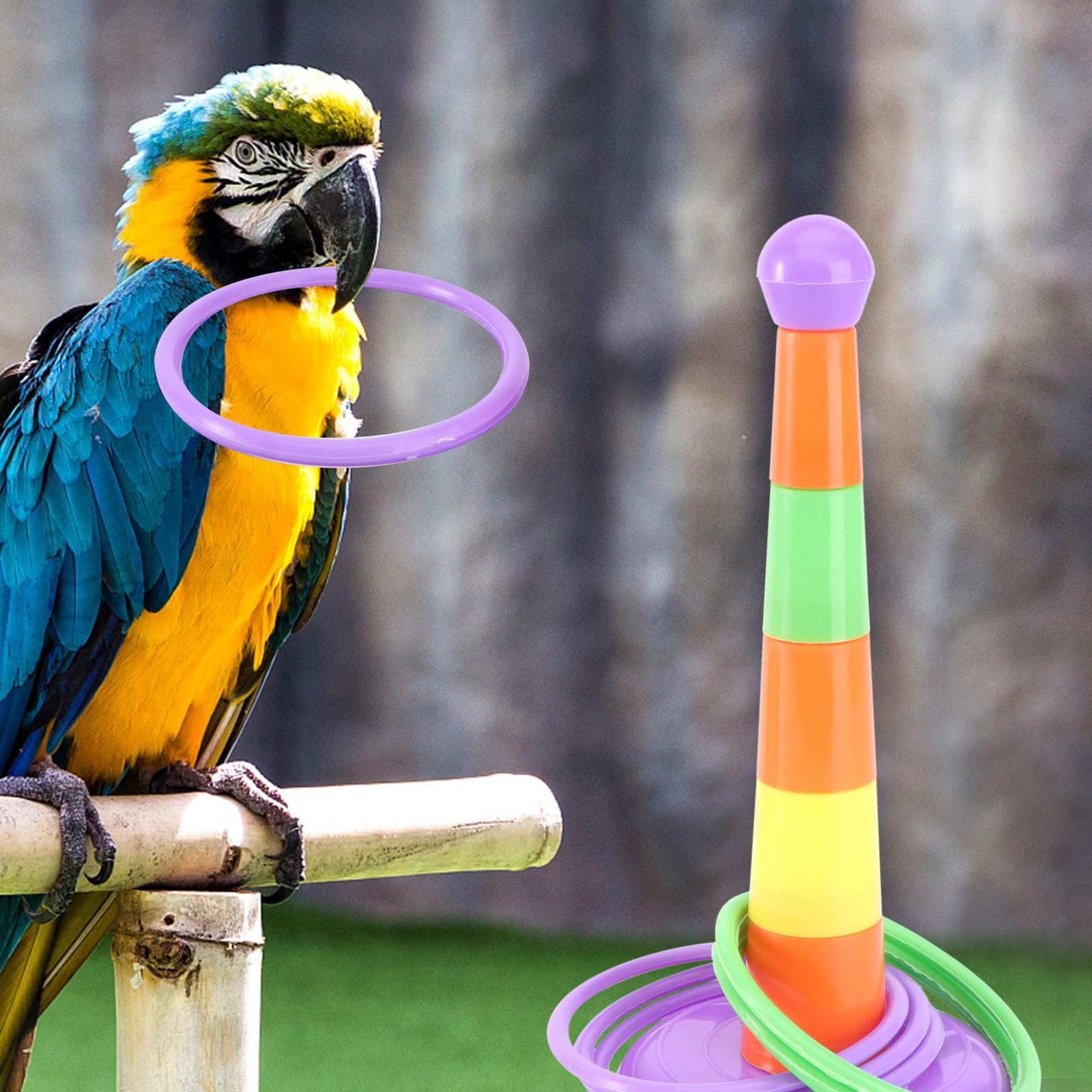 Hohopeti Vogelspielzeug Satz für Wellensittiche mit Kauspielzeug und Plastik Robust und Bissfest Inkl Skateboard Spielzeug und Basketballständer für Vogelkäfige Zufällige Farbe