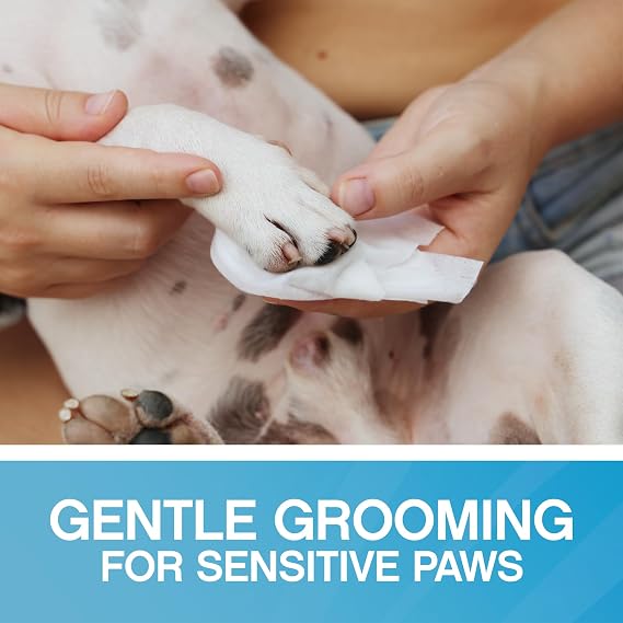 Dog Lover's Bundle - Pet Stain & Odor Eliminator Spray, Allergy-Sensitive Dog Grooming Wipes, Efficient Urine and Poop Cleaner, Pet-Friendly, Fragrance-Free, Multipurpose Deodorizer
