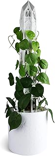 12 Unique Trellis Ideas to Add Character to Your Garden Space 85 Gothic Tower Moss Pole – Modular Stackable Self-Watering Indoor Climbing...