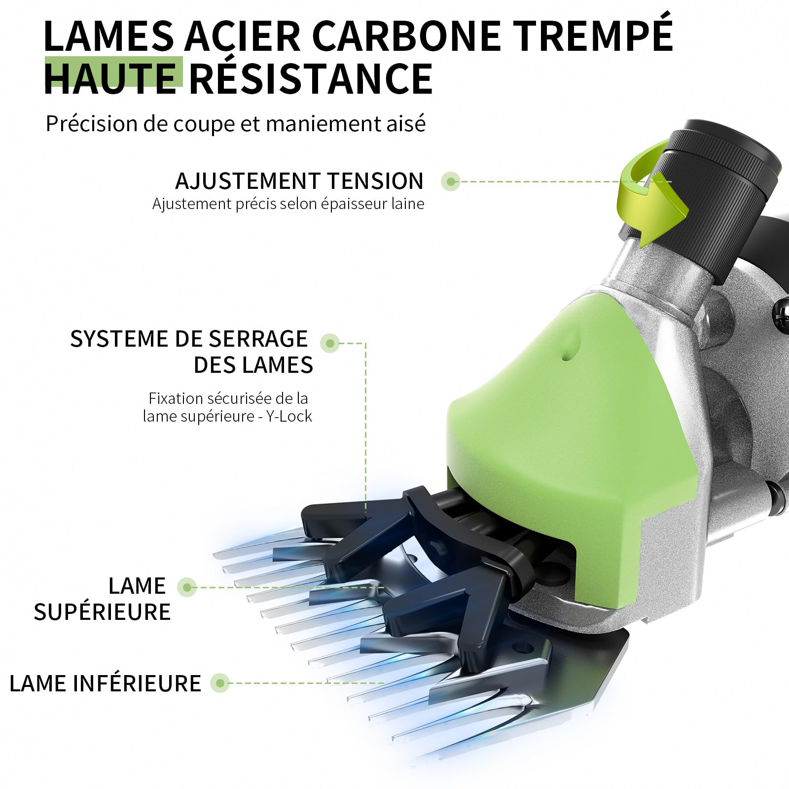 1200W Tondeuse a Mouton Professionnelle, 6 Vitesses Réglables 3200 tr/min, Lame 13 Dents pour Moutons Chèvres Alpagas, avec Manuel Français et Vidéo (Vert)
